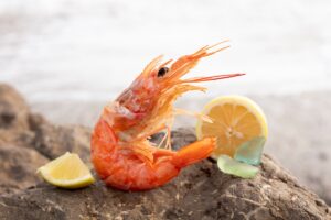 投稿についてもっと詳しく Aliquet et iaculis et viverra vitae ligula