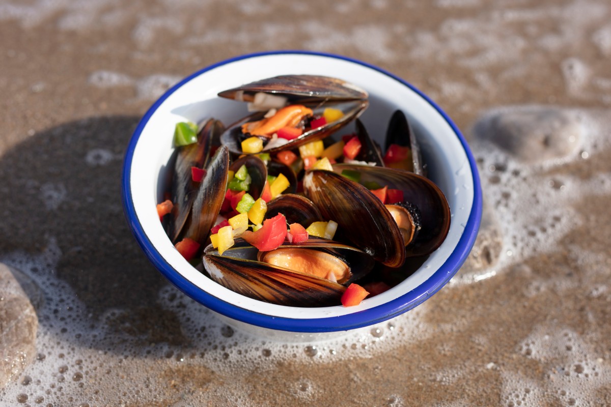 投稿についてもっと詳しく Vestibulum ante ipsum primis